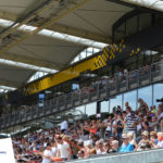 PVH_0877